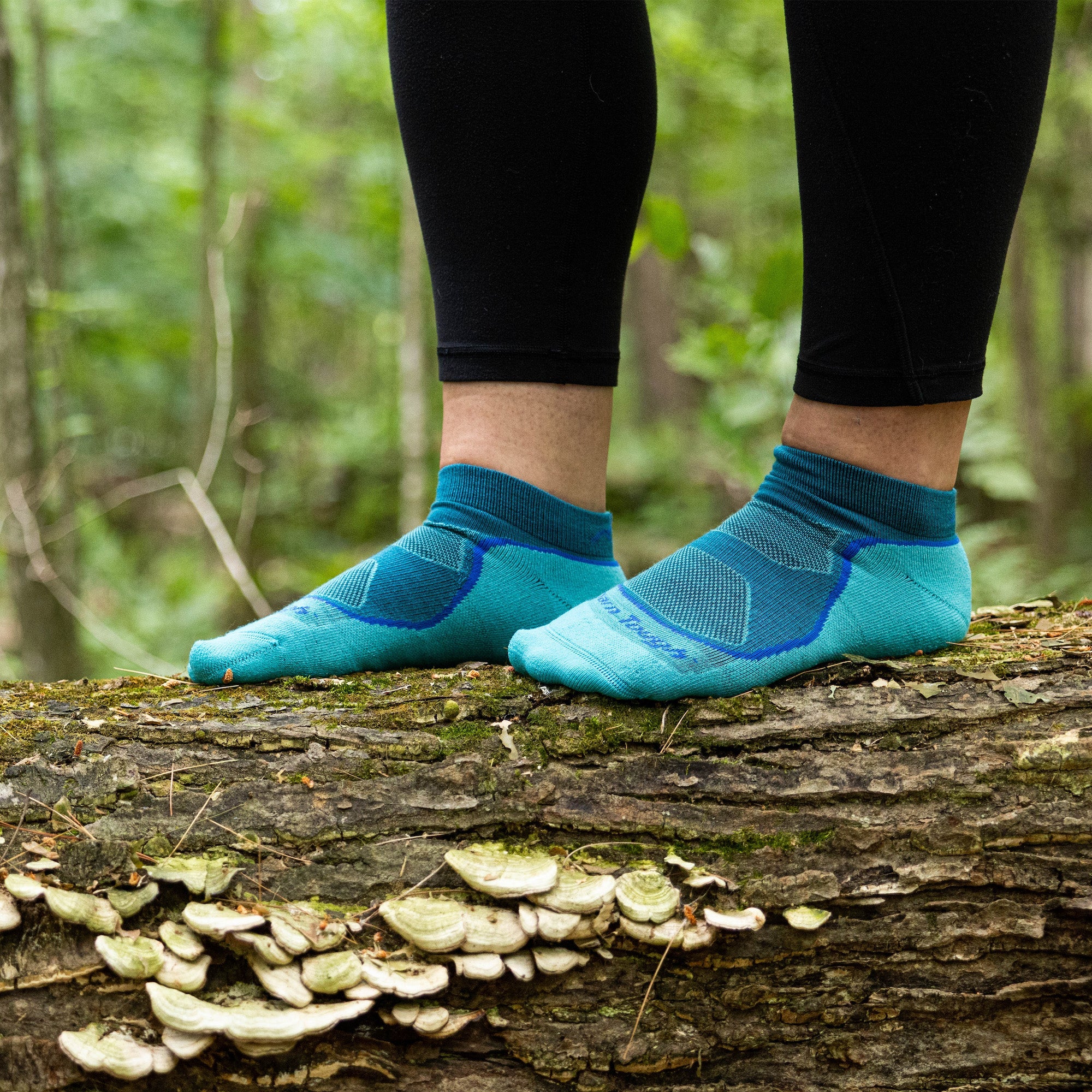 Darn Tough Socks Women's Hiker Low-Profile 3-Pack - Image 7