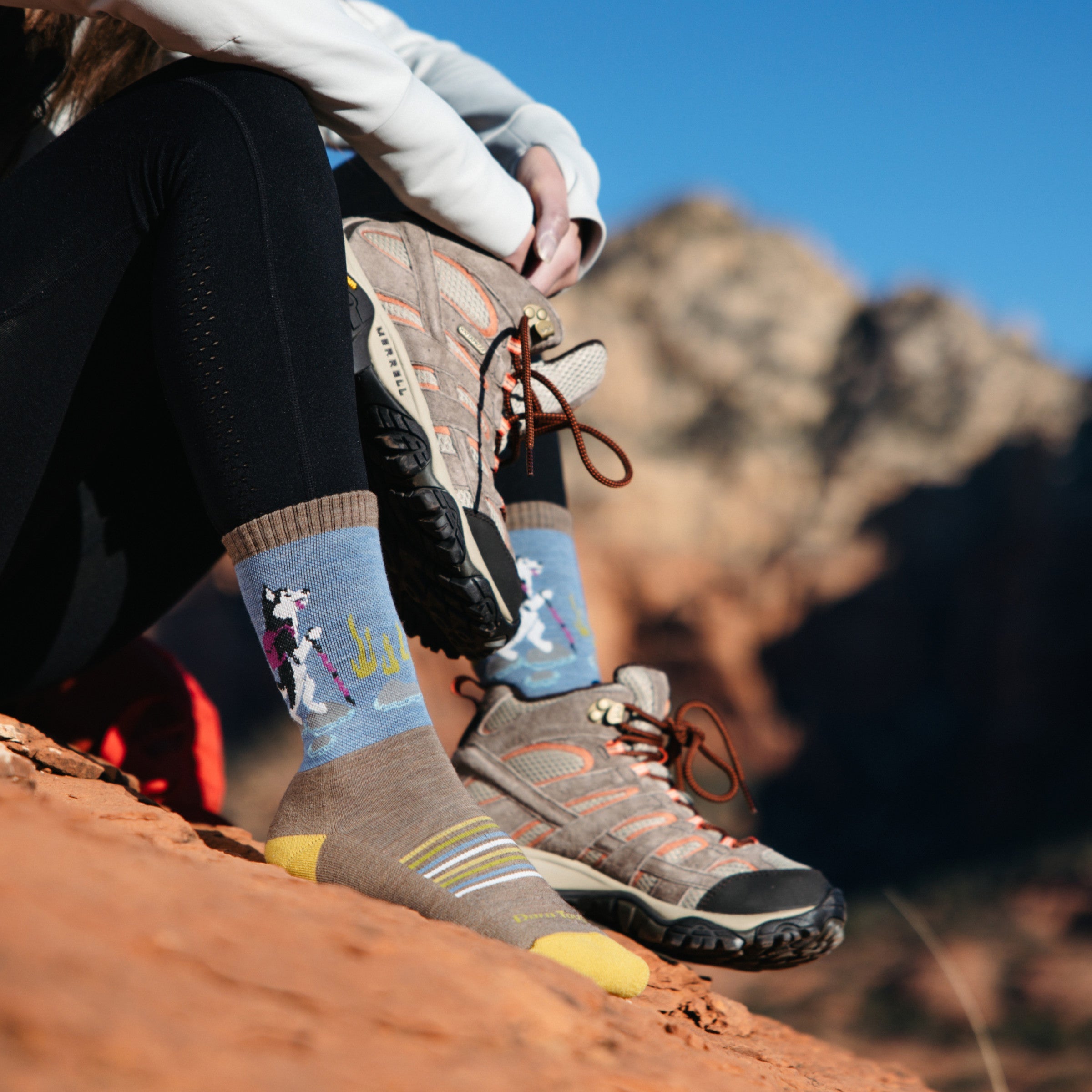 Darn Tough Socks Women's Critter Club 2-Pack Hiking Socks - Image 7