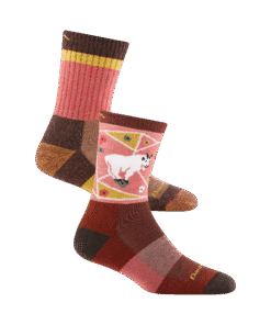 Darn Tough Socks Women's Micro Crew Hiker 2-Pack