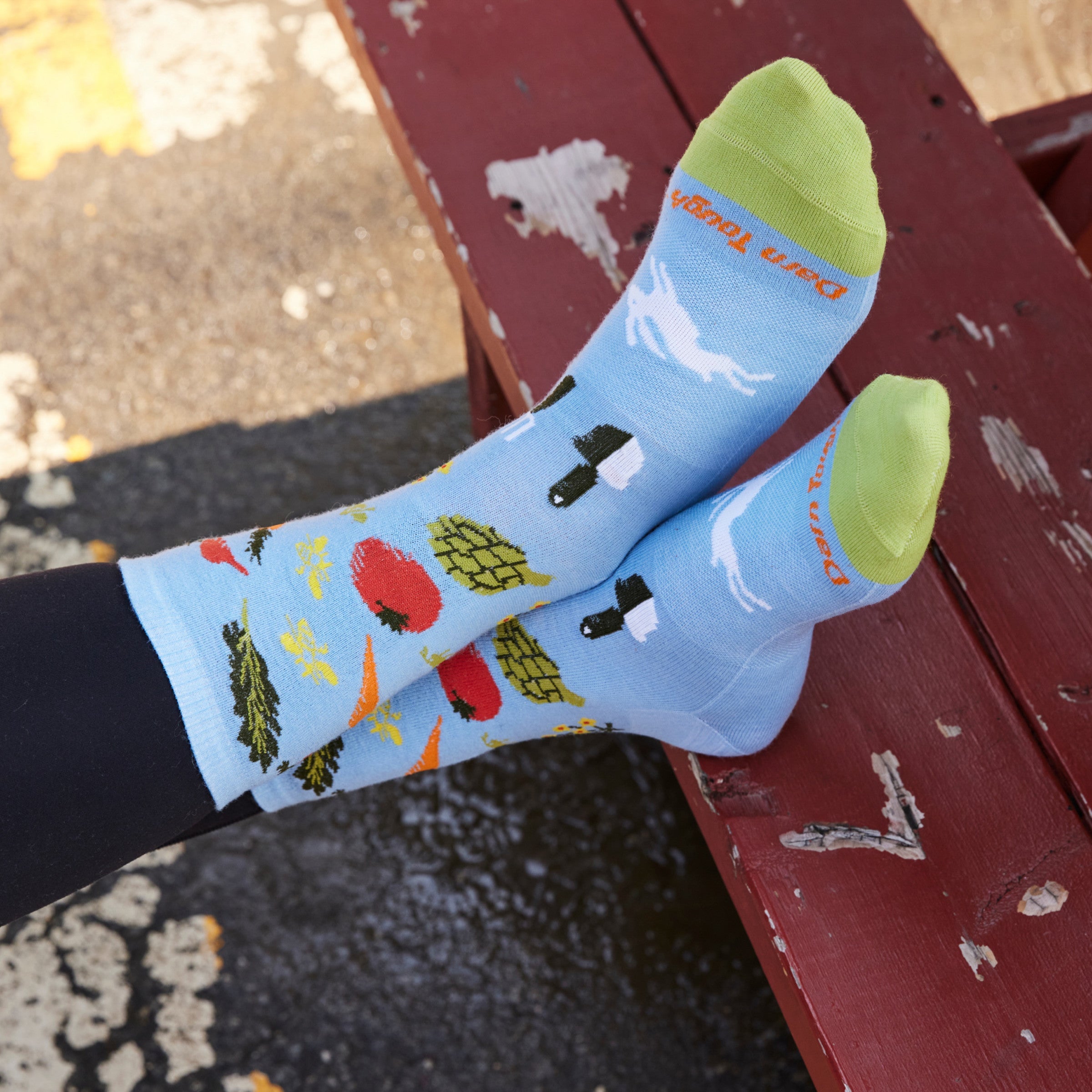 Darn Tough Socks Women's Lightweight Lifestyle Combo Crew 2-Pack - Image 3