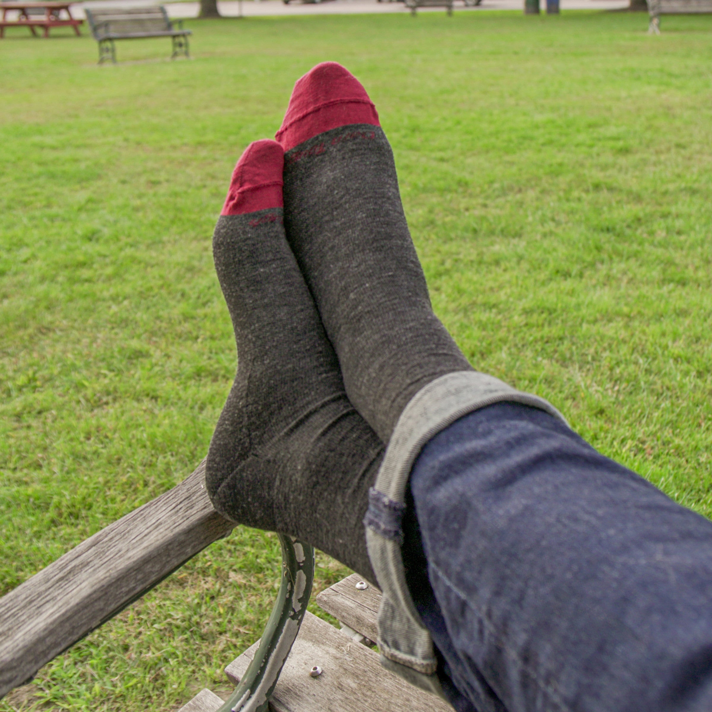 Darn Tough Socks Men's Solid Crew Lightweight Lifestyle Socks - Image 9