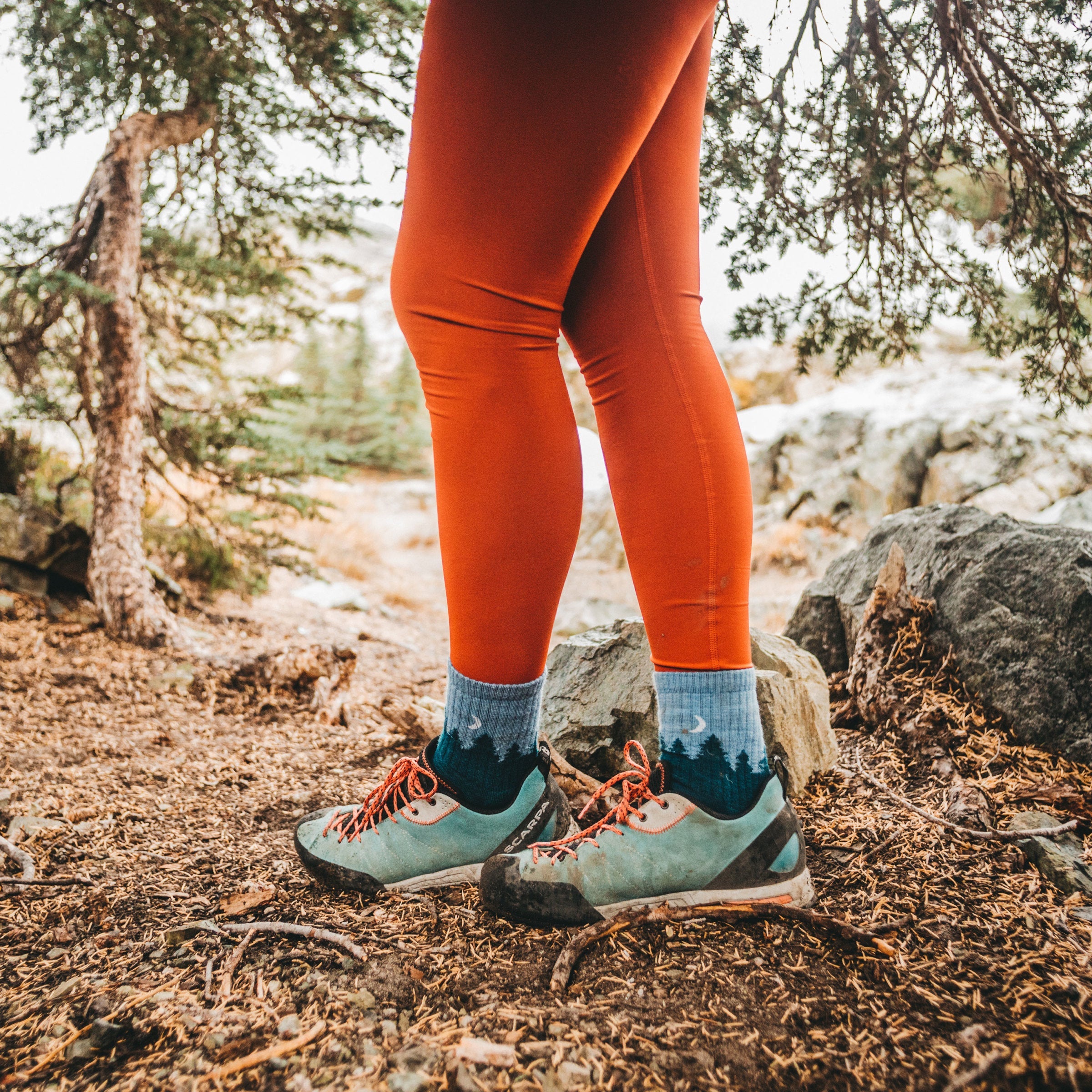 Darn Tough Socks Women's Treeline Micro Crew Midweight Hiking Socks - Image 6
