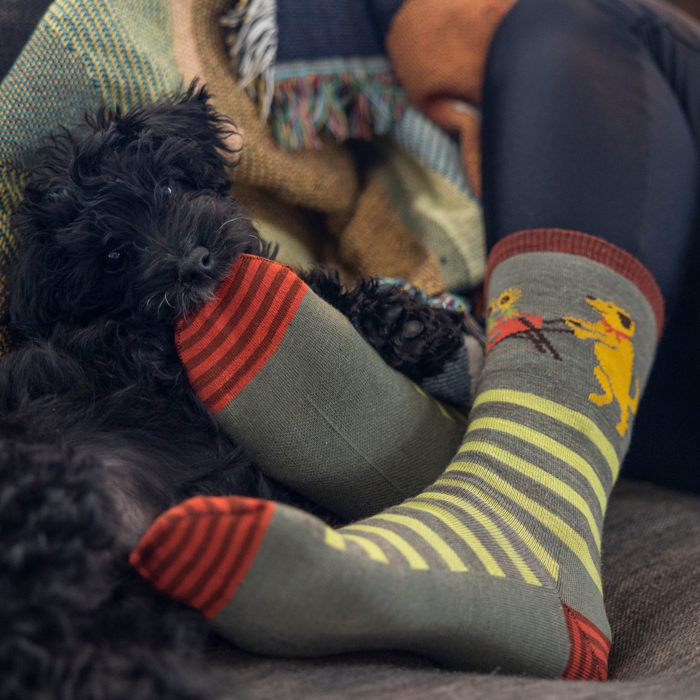 Darn Tough Socks Women's Animal Haus Crew Lightweight Lifestyle Socks - Image 5
