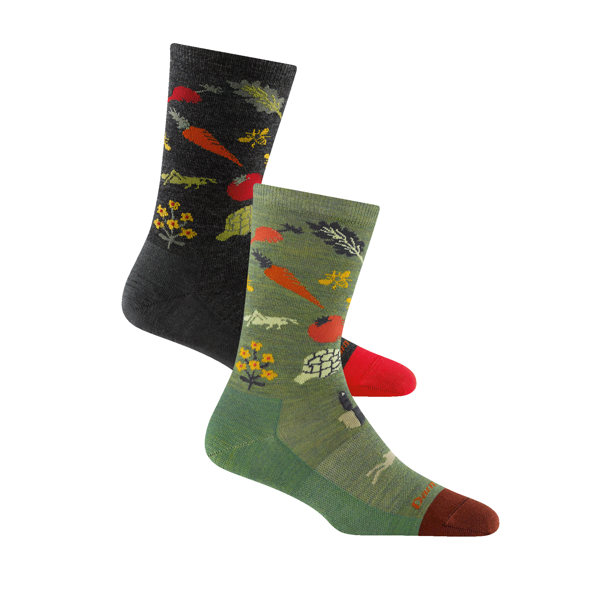 Darn Tough Socks Women's Lightweight Lifestyle 2-Pack