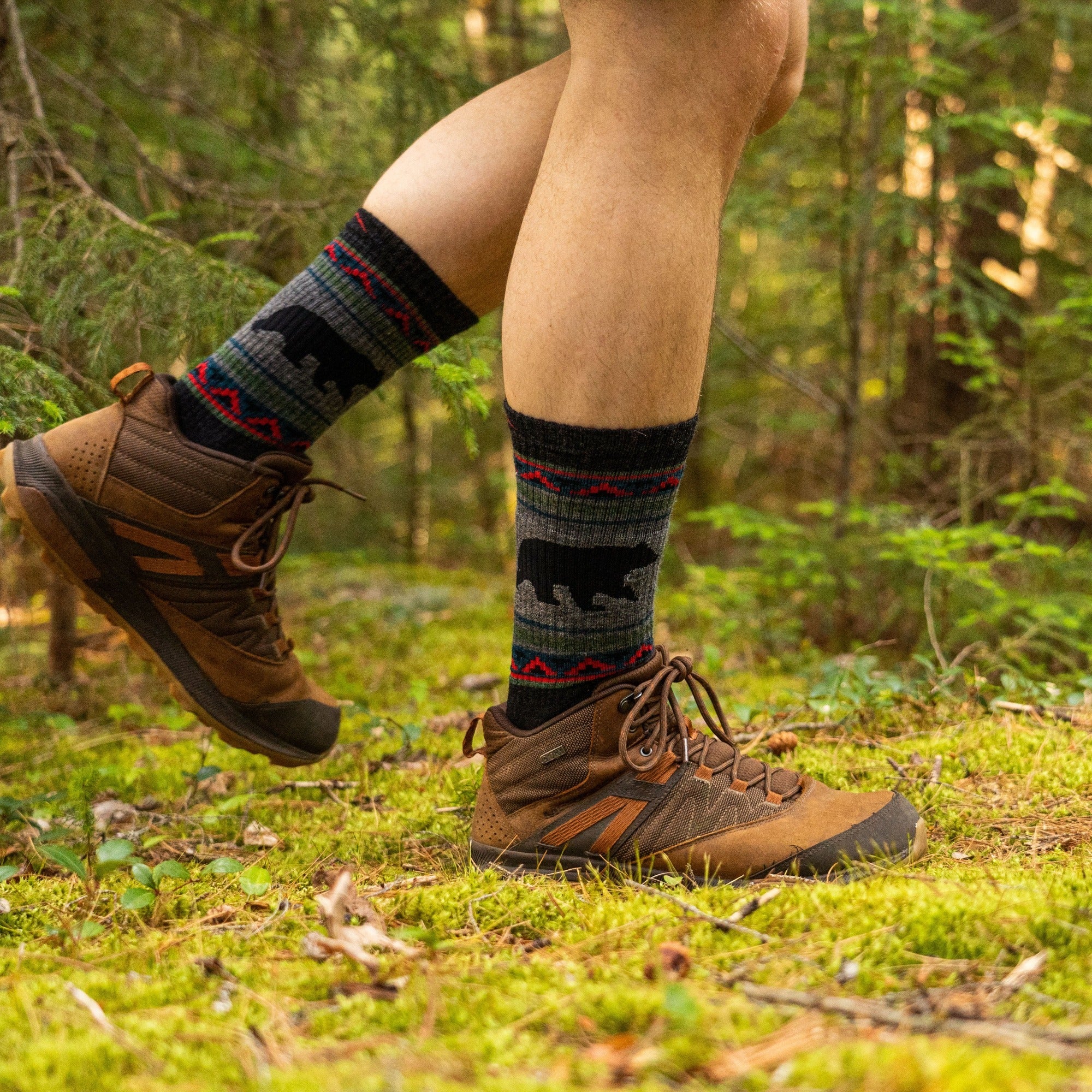 Darn Tough Socks Men's and Women's Bear 2-Pack Hiking Socks - Image 6